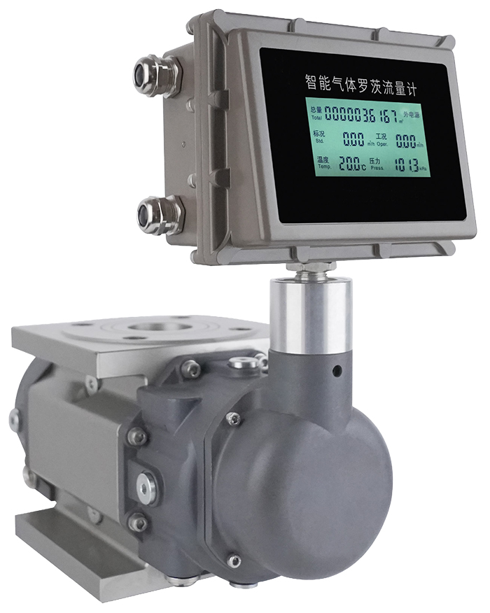 防爆羅茨流量計產(chǎn)品圖片