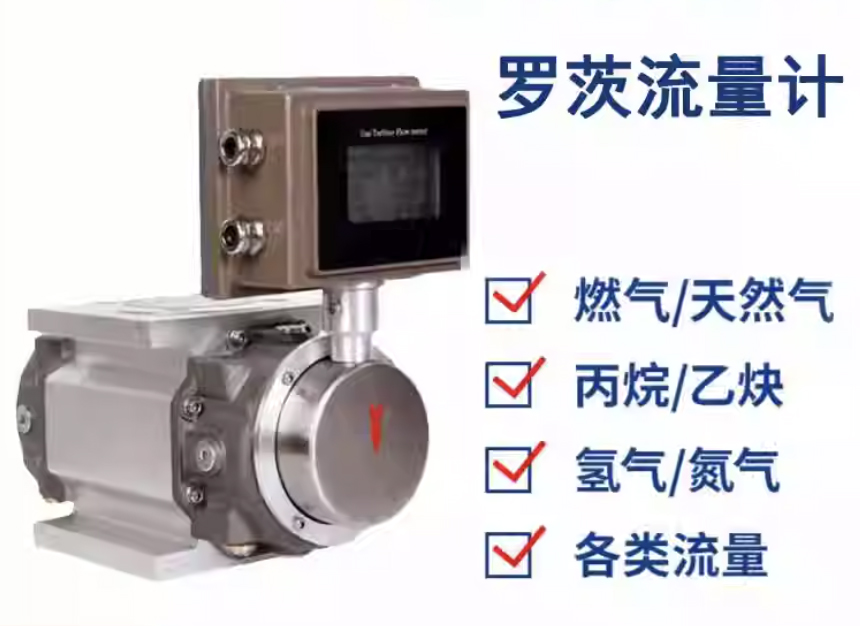 DN25氣體羅茨流量計(jì)