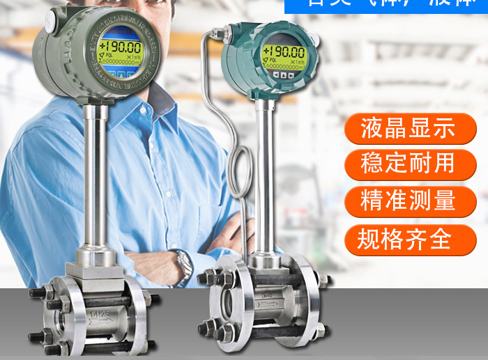 防爆氣體流量計